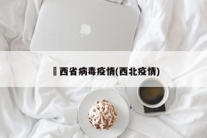 冮西省病毒疫情(西北疫情)