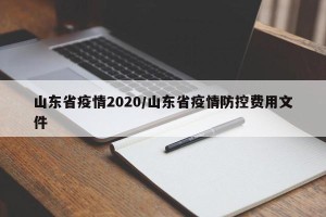 山东省疫情2020/山东省疫情防控费用文件